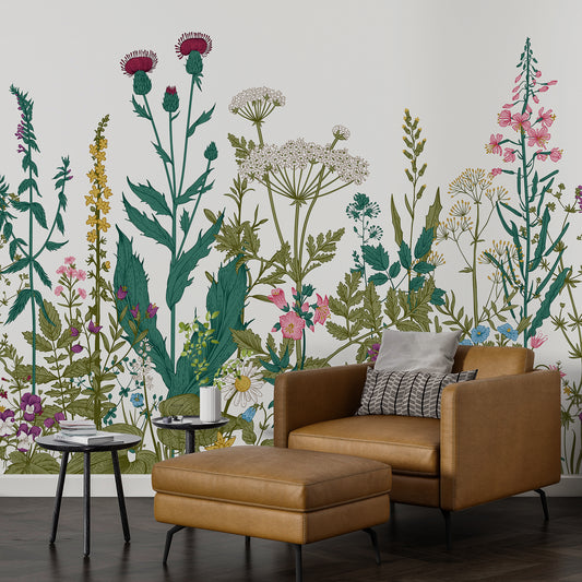 Meadow Flowers: A Wild Garden