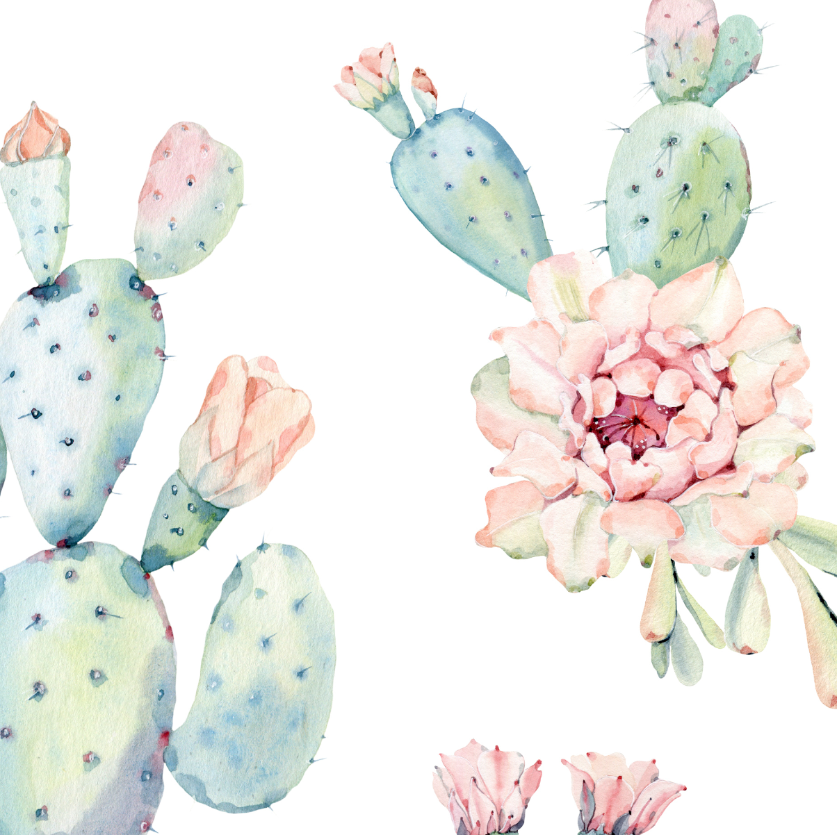 Pastel Desert Bloom