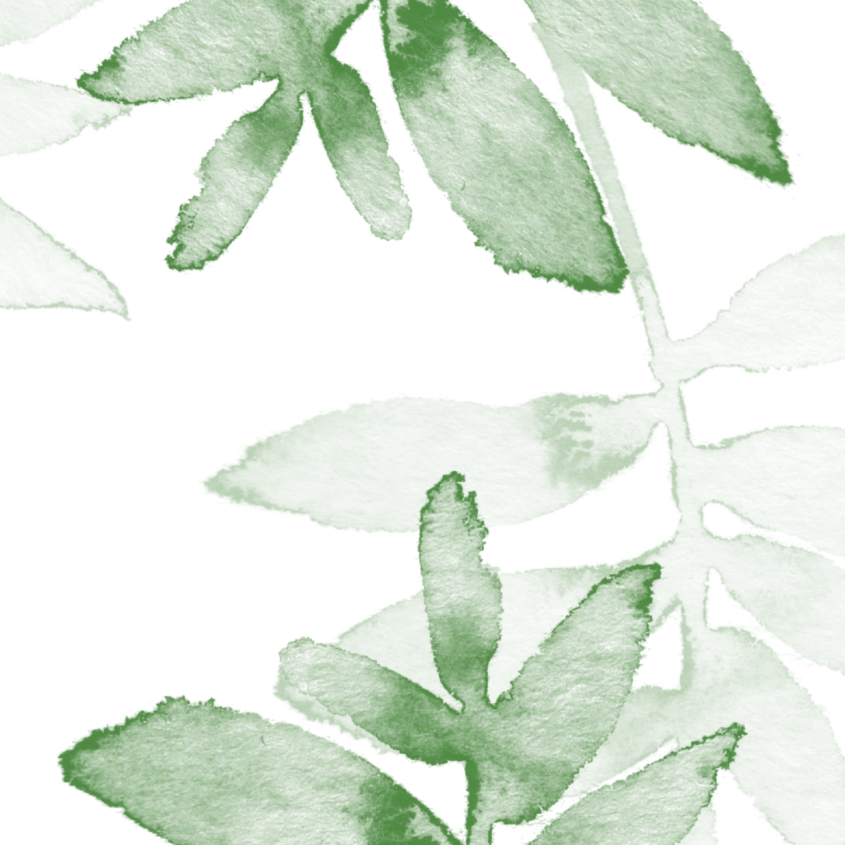 Soft Sage Watercolor Leaves