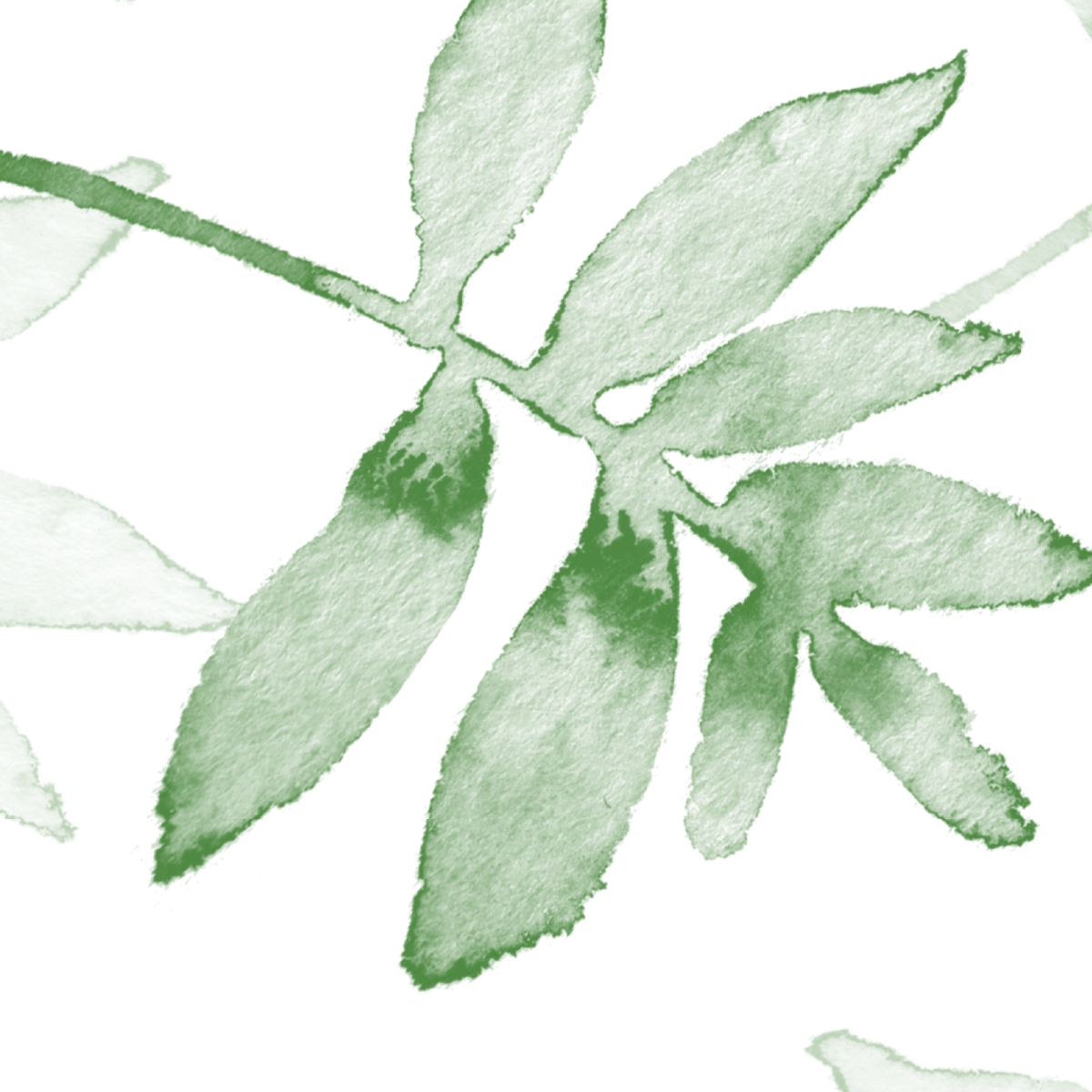 Soft Sage Watercolor Leaves
