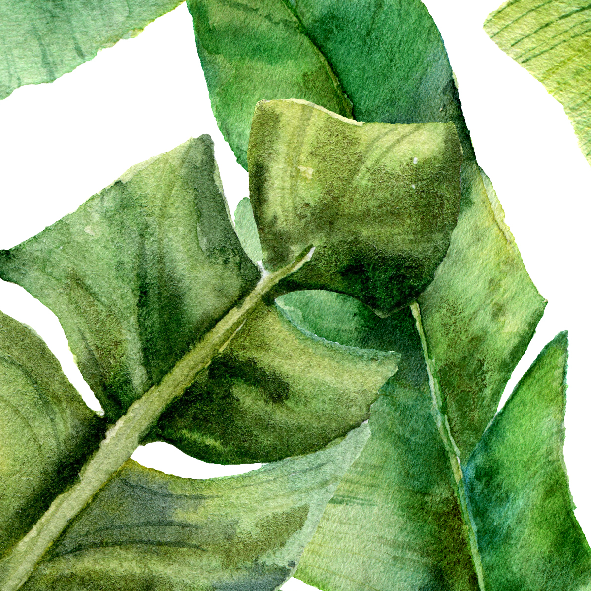 Tropical Banana Leaf Escape