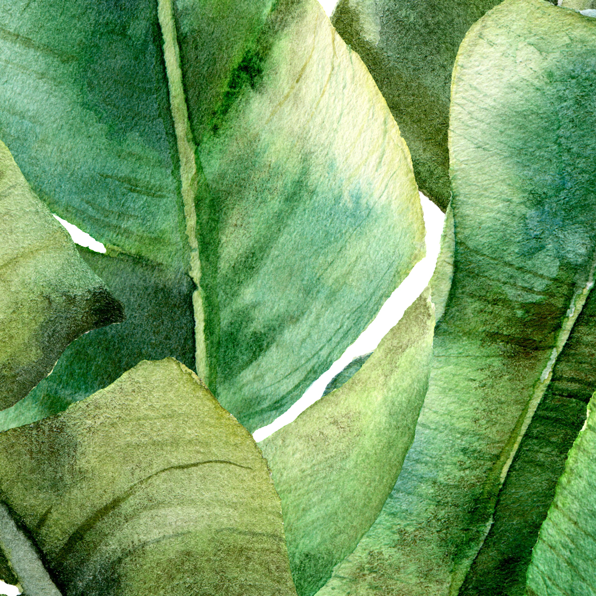 Tropical Banana Leaf Escape