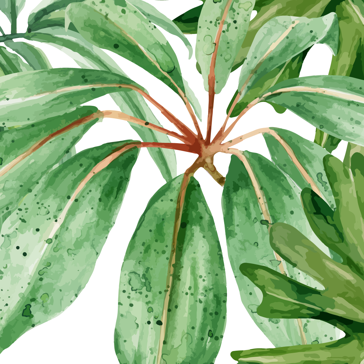 Tropical Watercolor Palm & Monstera