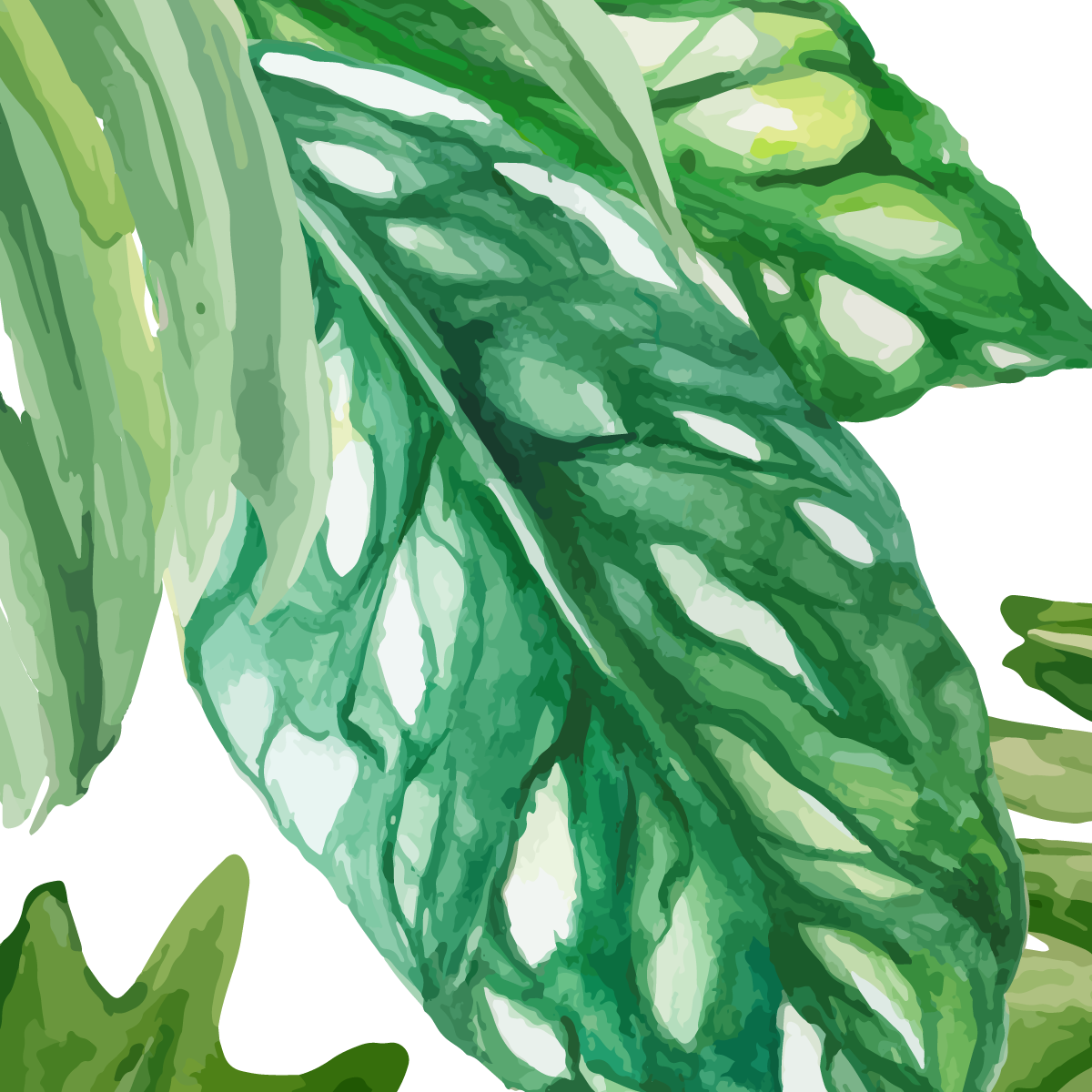 Fresh Tropical Watercolor Leaves
