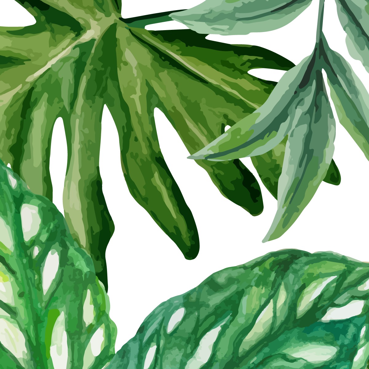 Fresh Tropical Watercolor Leaves