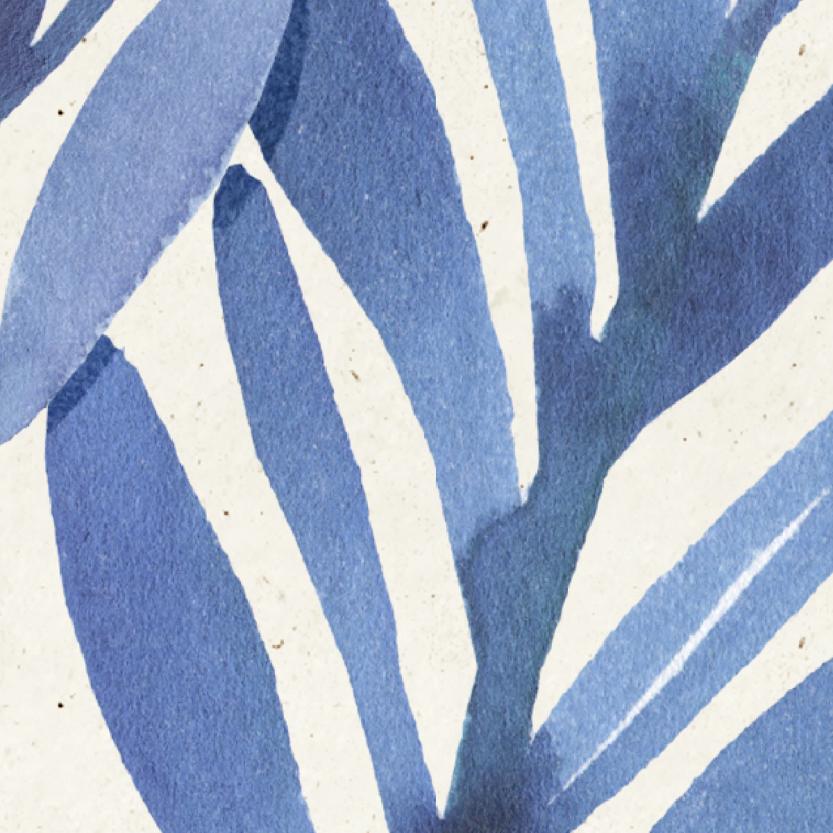 Coastal Blue Botanical