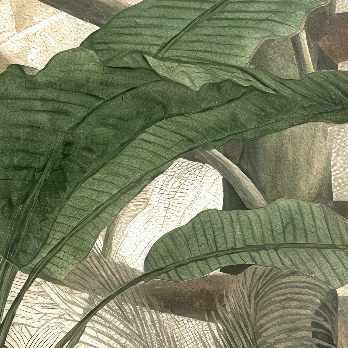 Tropical Jungle Paradise Wall Mural - Vintage Botanical & Birds Wallpaper