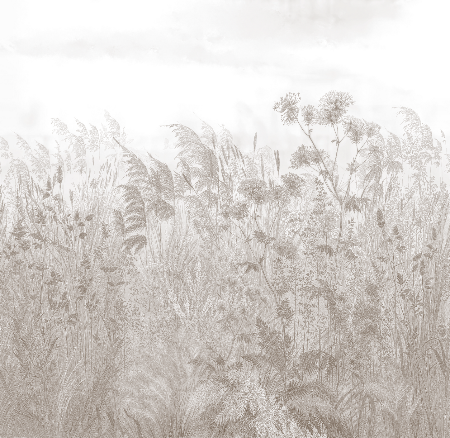 Wild Grasses Meadow Botanical Mural - Sepia Tone Nature Wall Art