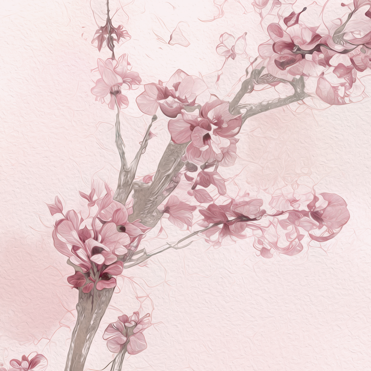 Delicate Pink Cherry Blossom Mural