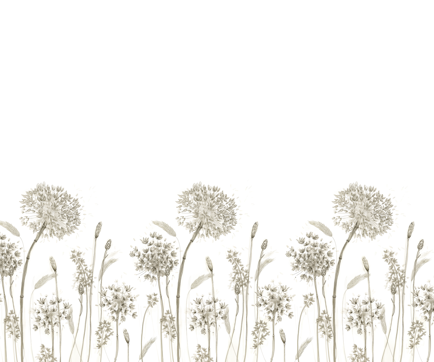 Delicate Allium Floral Border Mural