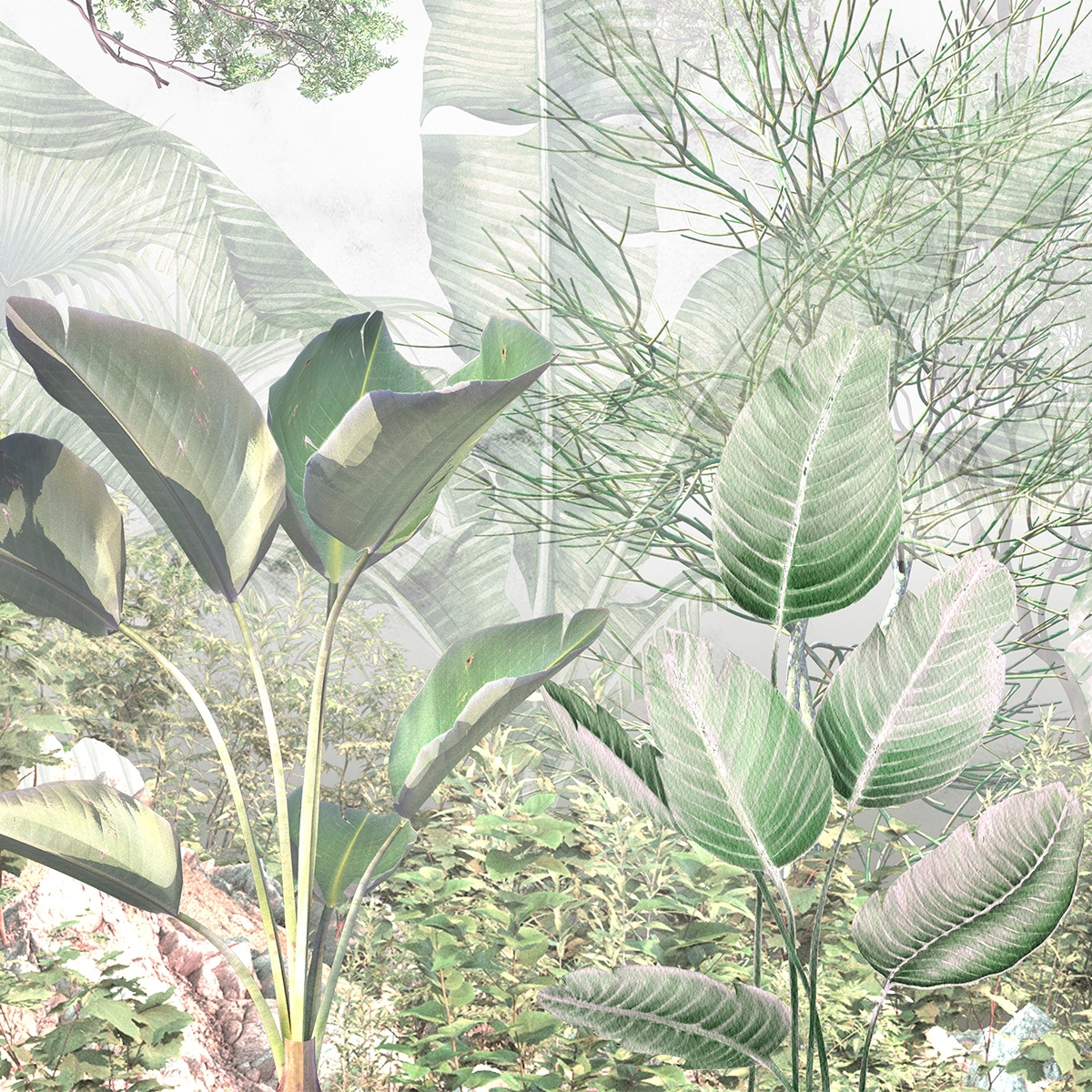 Botanical Garden Mural Wallpaper on Marble Background - Luxury Greenhouse