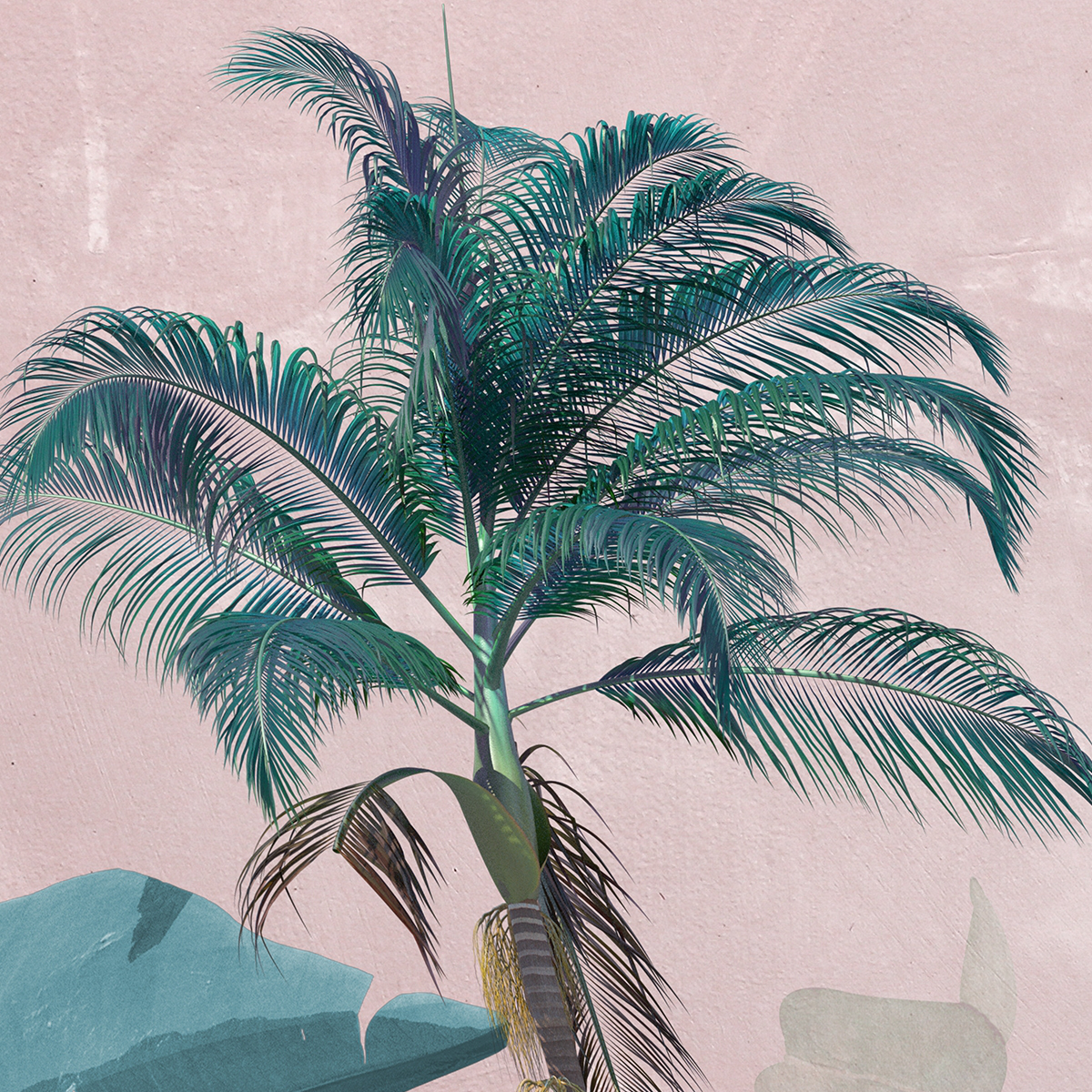 Tropical Palm Tree Mural Wallpaper - Teal and Blush Pink Background