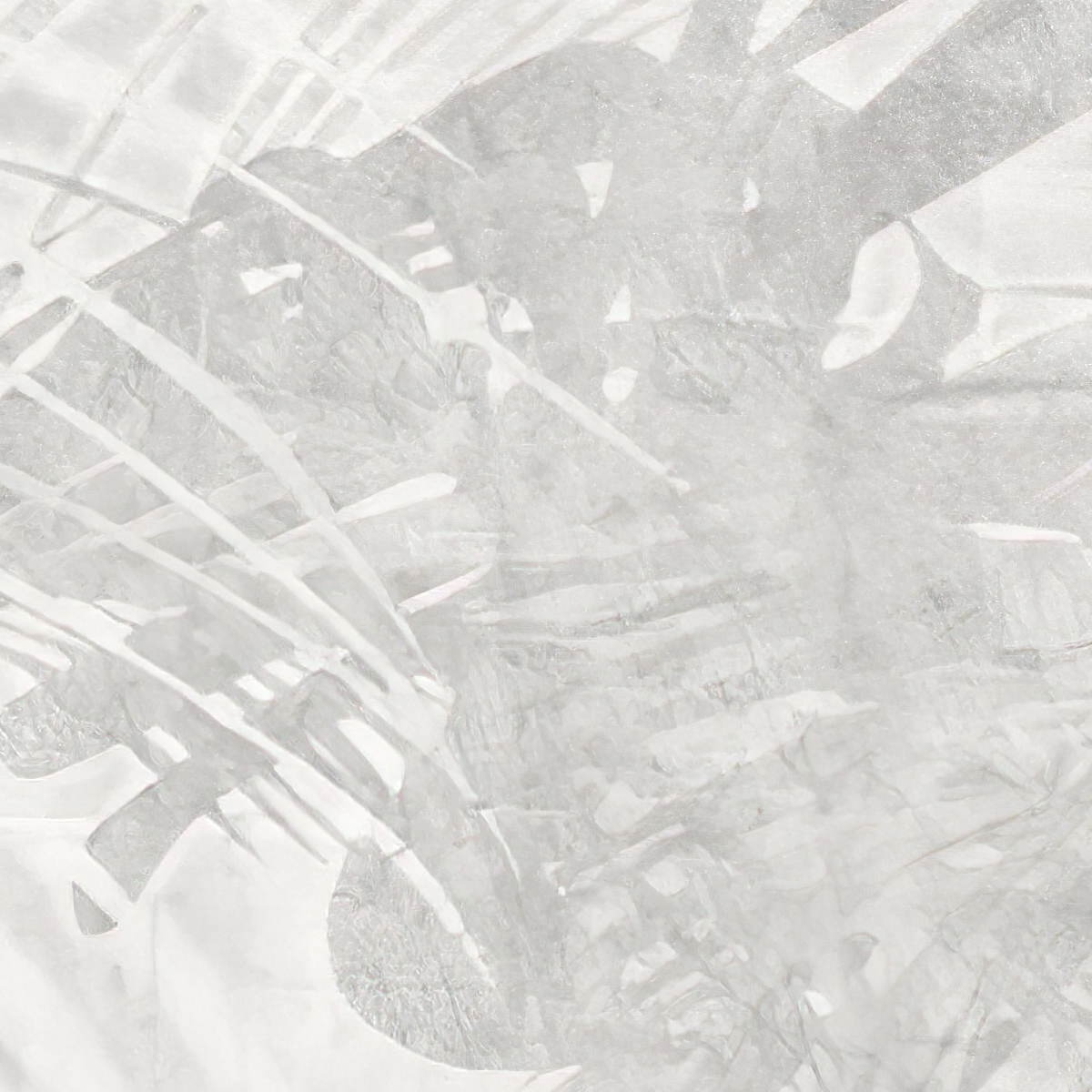 Watercolor Leaves Mural Wallpaper - Hanging Botanical Border