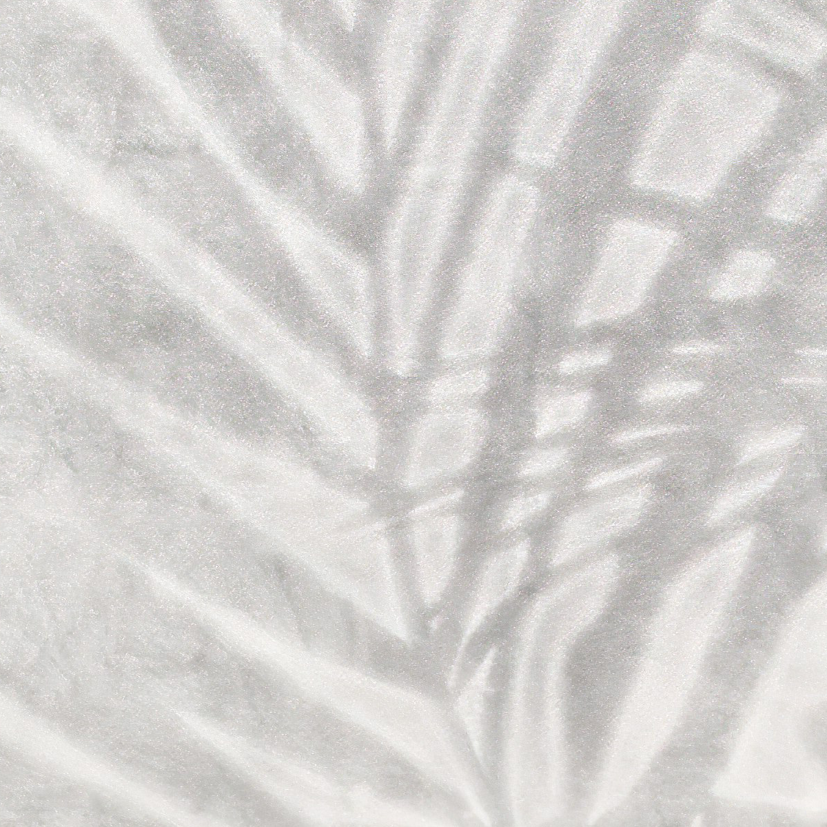 Monochromatic Tropical Foliage Mural Wallpaper - Light Gray Texture