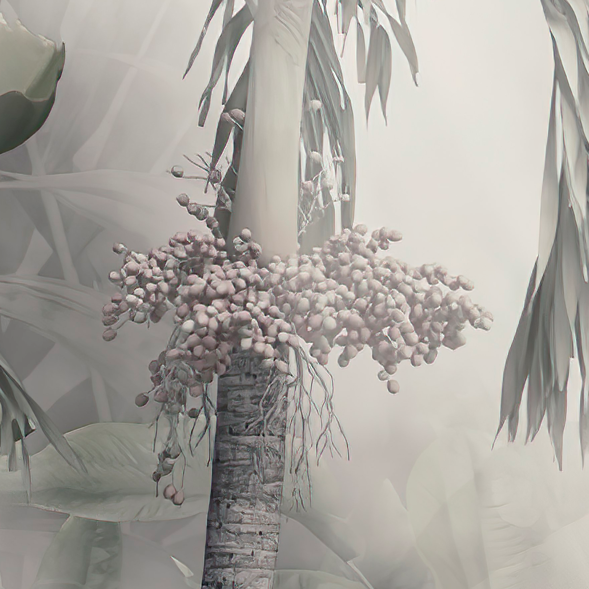 Vintage Palm Tree Engraving Mural Wallpaper - Black and White