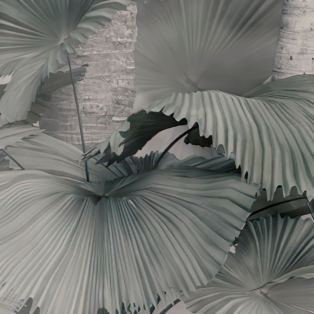 Vintage Palm Tree Engraving Mural Wallpaper - Black and White