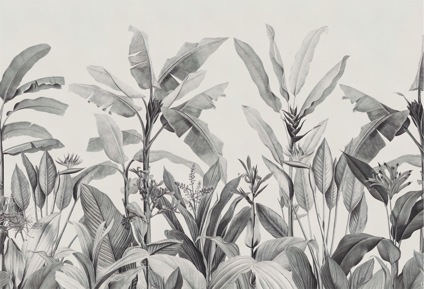 Palm Tree and Misty Jungle Mural Wallpaper - Monochromatic Gray