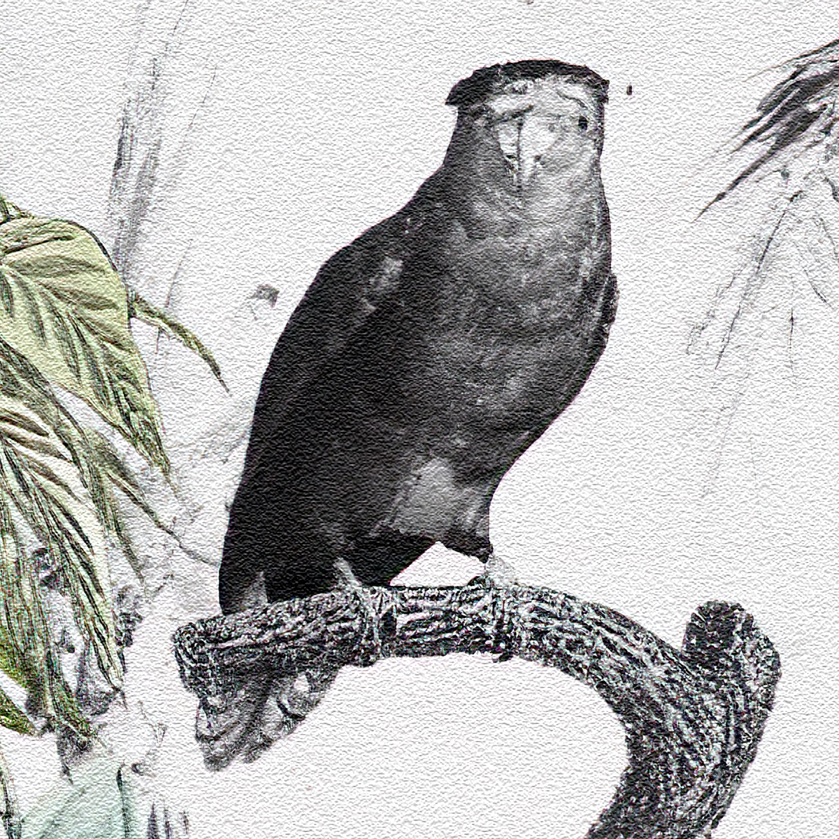 Deep Blue and Burgundy Tropical Garden Mural with Birds