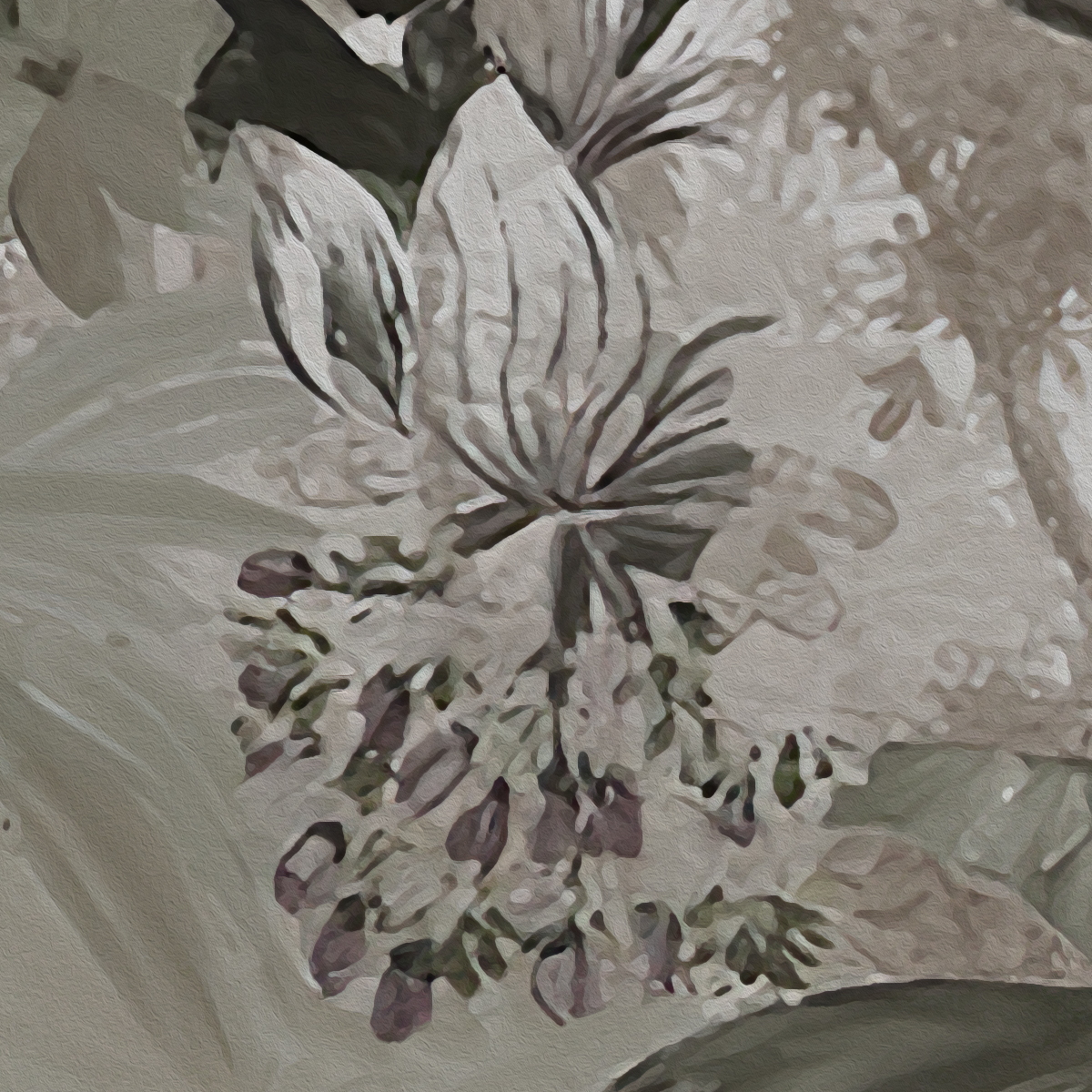 Lush Tropical Jungle Mural Wallpaper - Dark and Moody Tones