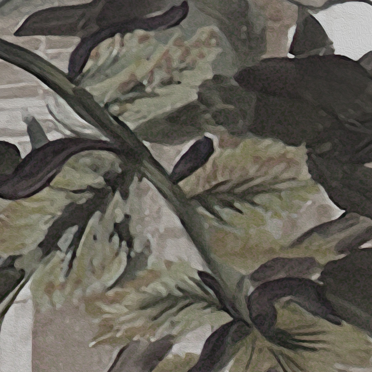 Lush Tropical Jungle Mural Wallpaper - Dark and Moody Tones