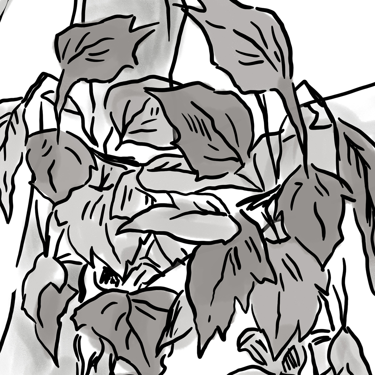 Line Art Tree Branch Mural Wallpaper - Minimalist Black and White Sketch