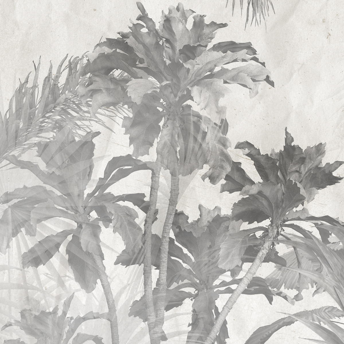 Monochromatic Tropical Jungle Mural Wallpaper - Pale Gray Vintage