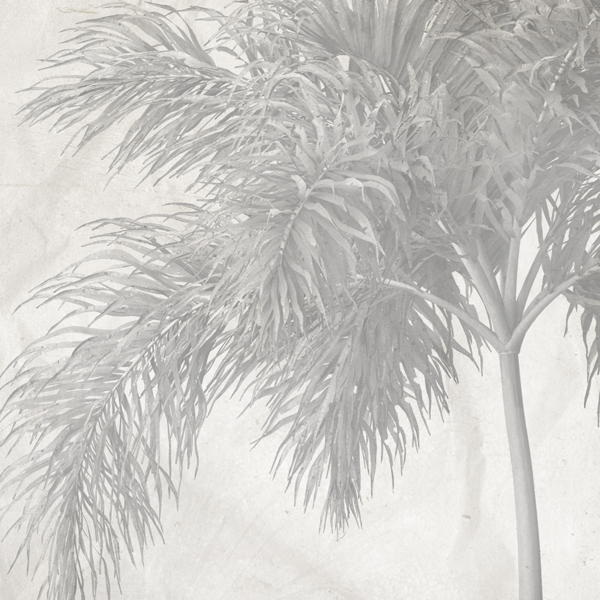 Monochromatic Tropical Jungle Mural Wallpaper - Pale Gray Vintage
