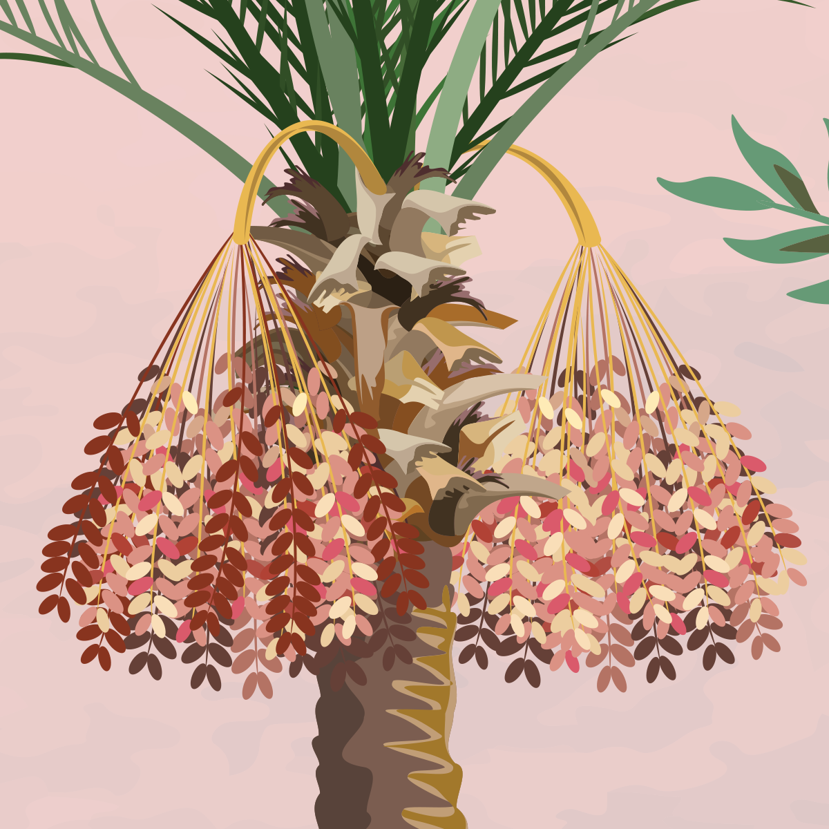 Exotic Tropical Garden Mural Wallpaper - Pink Background and Palm Trees