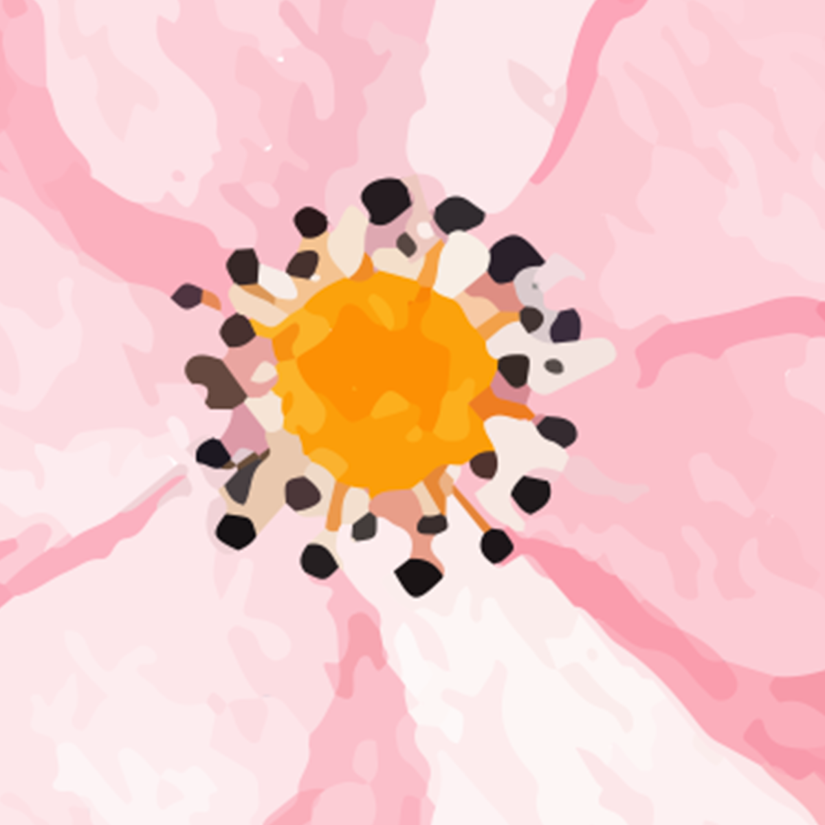 Navy & Pink Watercolor Floral Border Mural Wallpaper