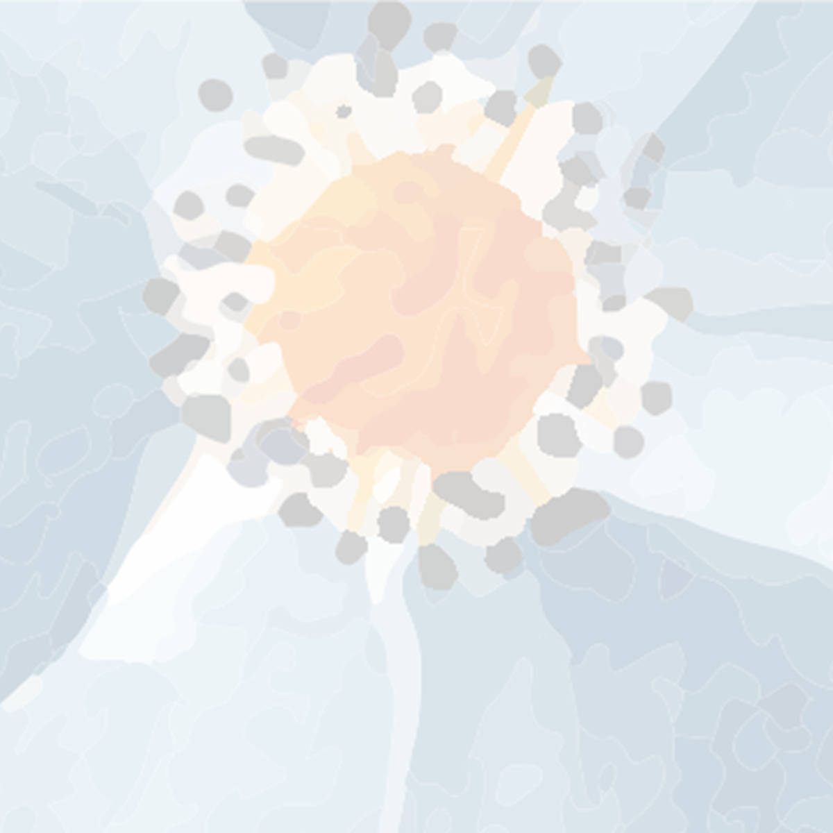 Navy & Pink Watercolor Floral Border Mural Wallpaper