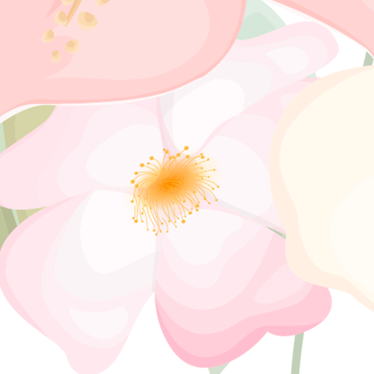 Watercolor Roses & Hibiscus Floral Border Mural Wallpaper