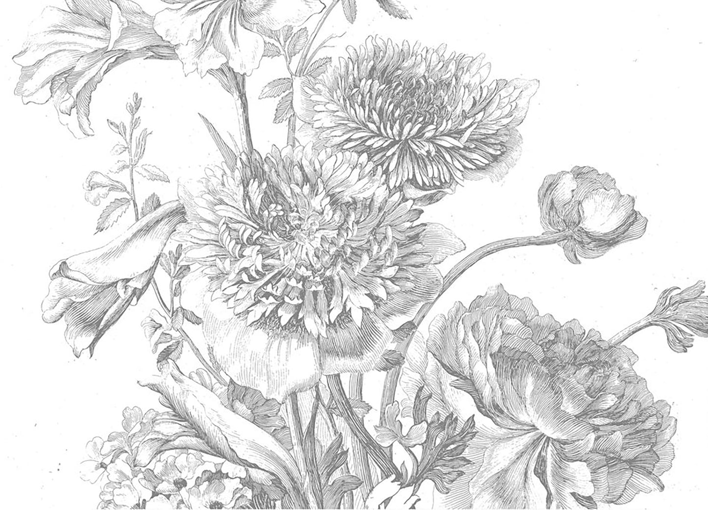 Engraved Floral Elegance - Vintage Black and White Mural