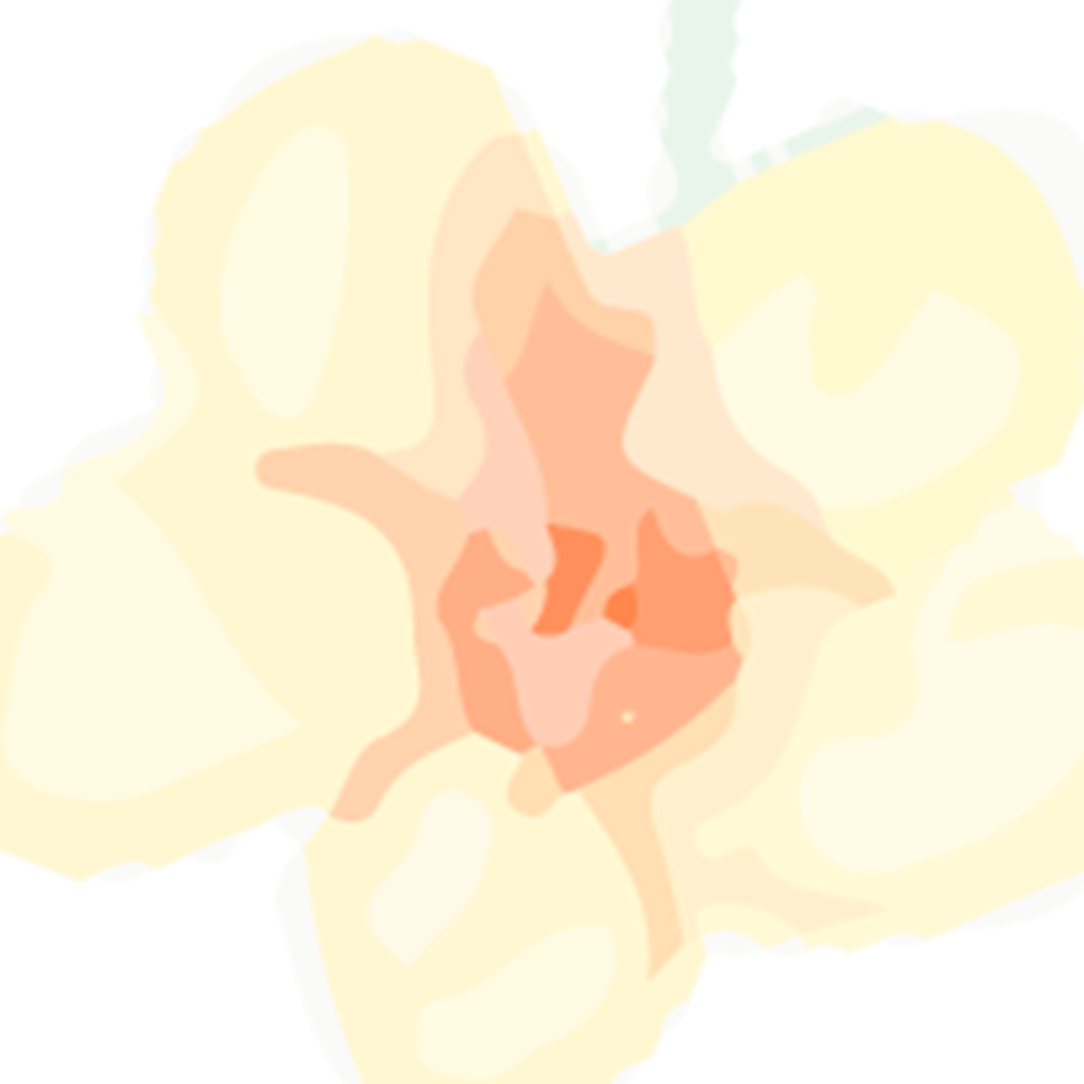 Soft Pastel Floral Watercolor Mural Wallpaper