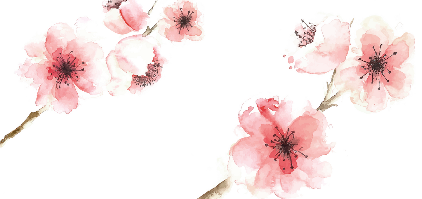 Watercolor Cherry Blossom Mural Wallpaper