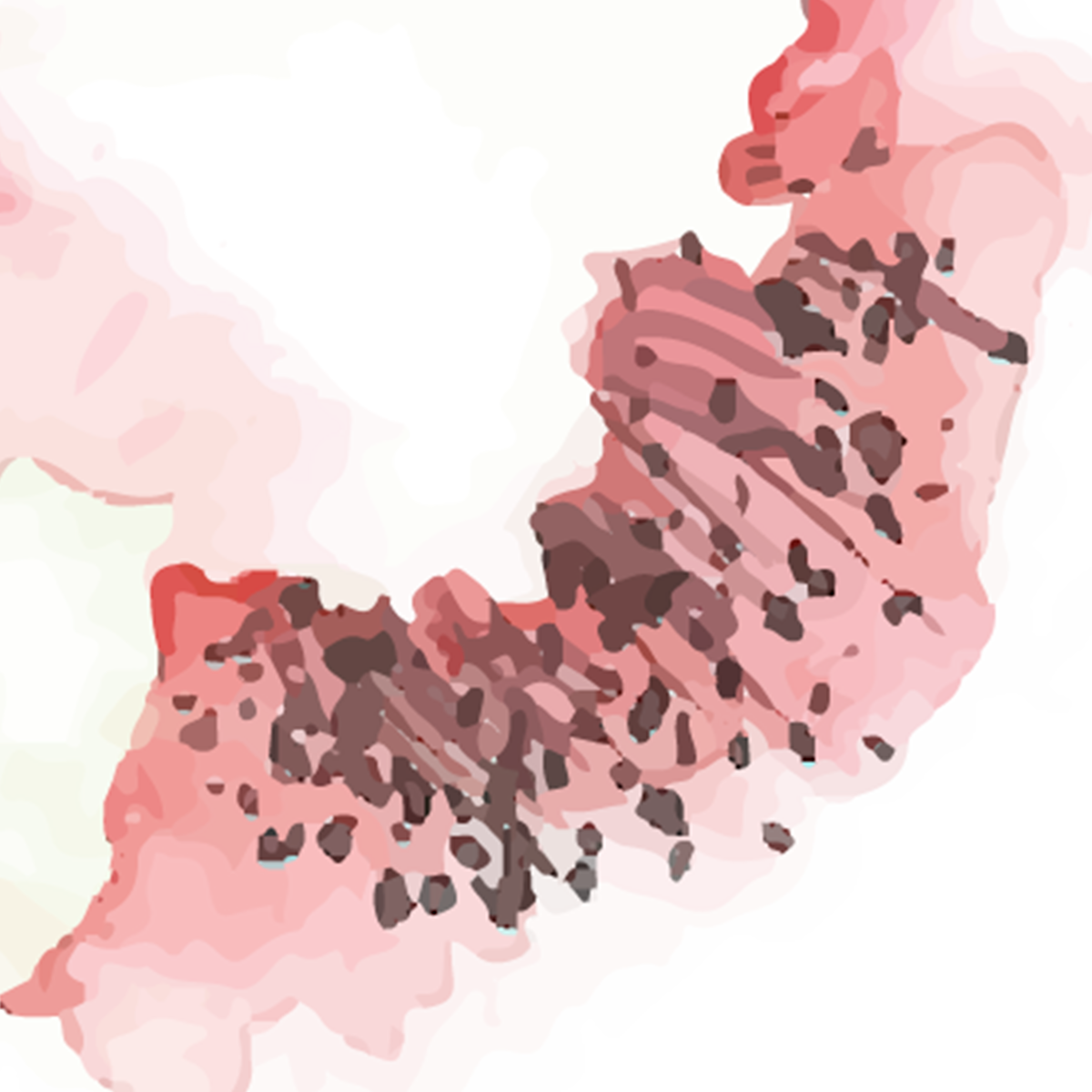 Watercolor Cherry Blossom Mural Wallpaper