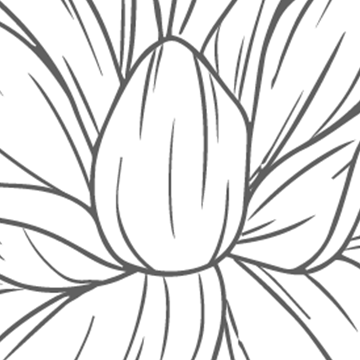 Line Art Floral Mural Wallpaper