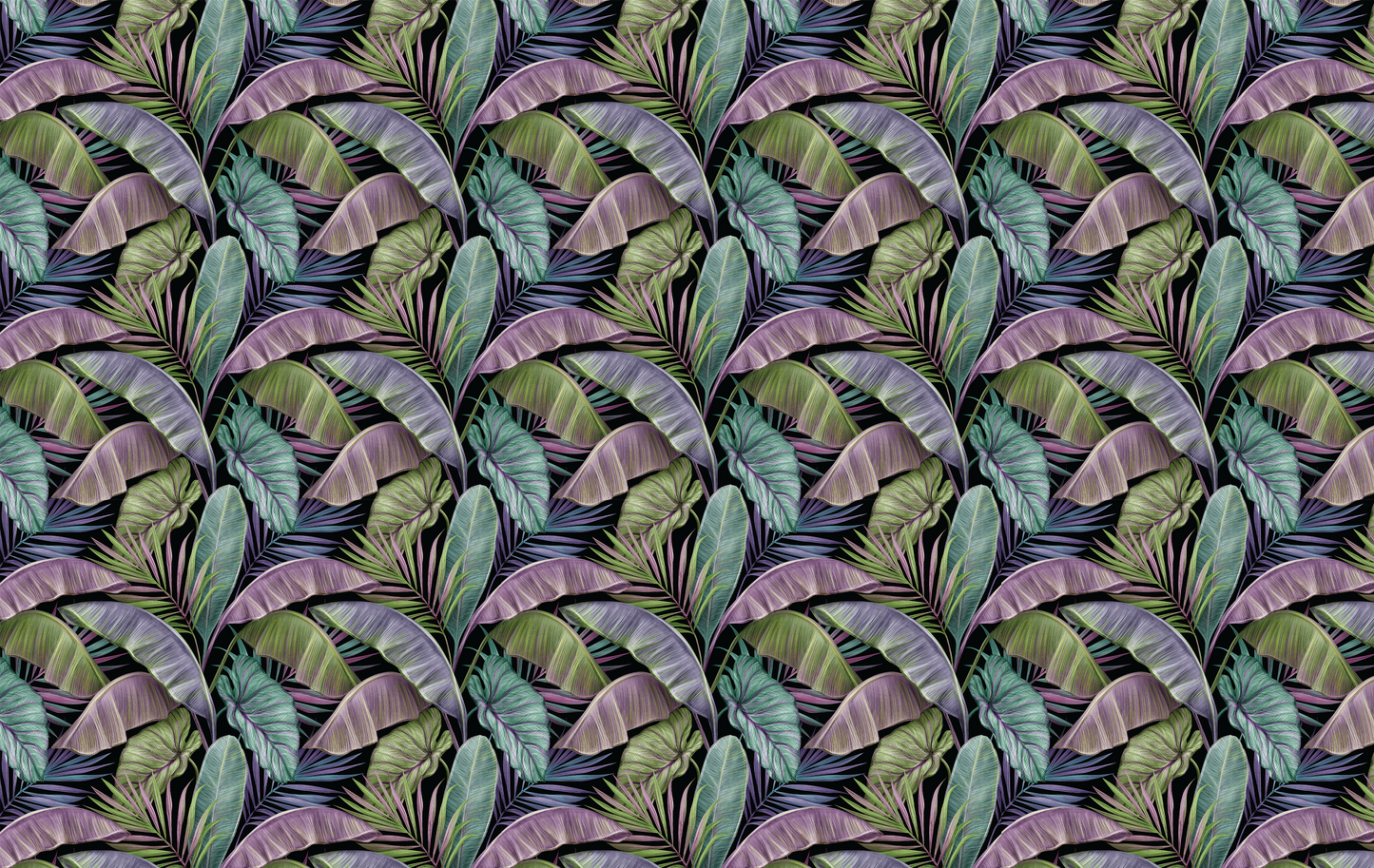 Midnight Tropics