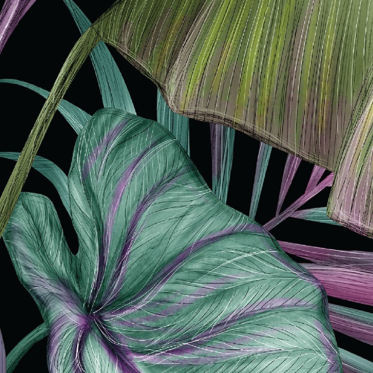 Midnight Tropics