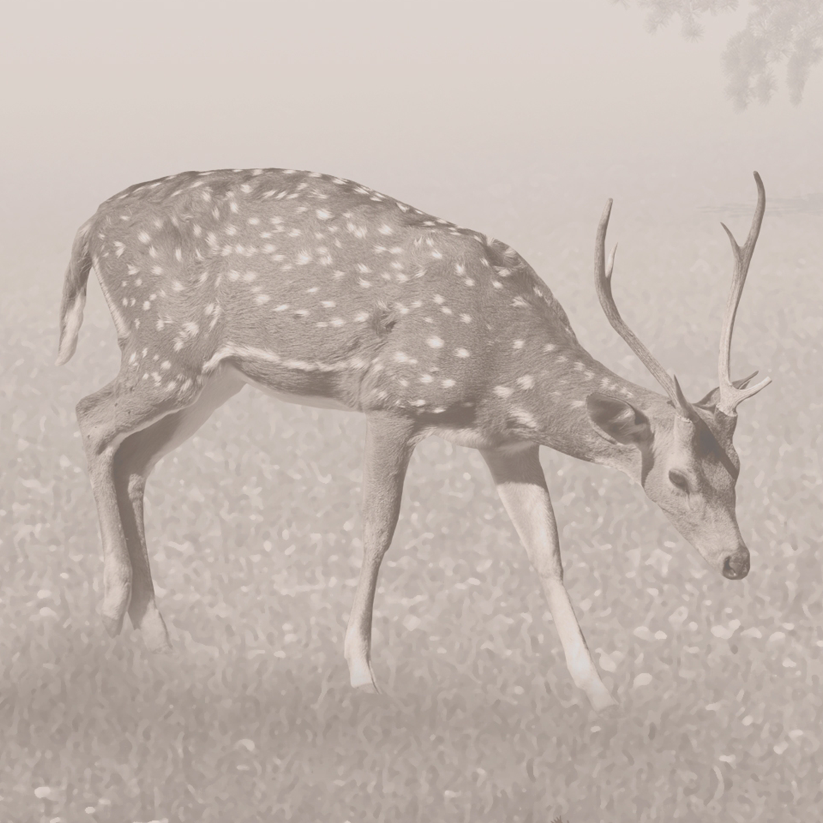 Misty Forest Mural Wallpaper with Deer - Sepia Monochrome Vintage