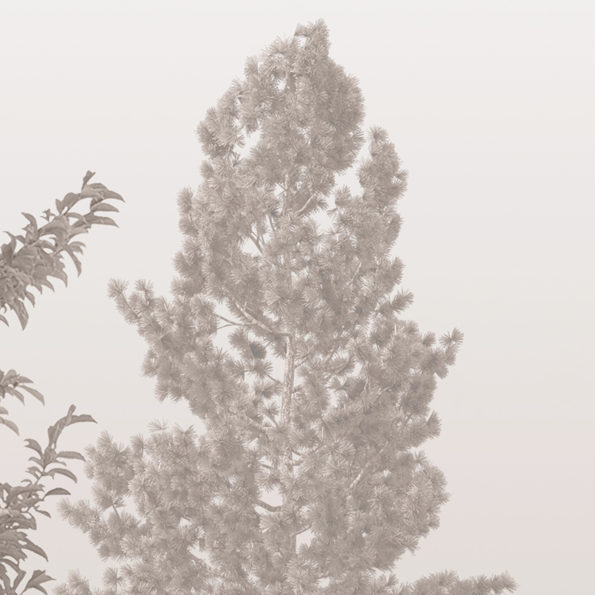 Misty Forest Mural Wallpaper with Deer - Sepia Monochrome Vintage