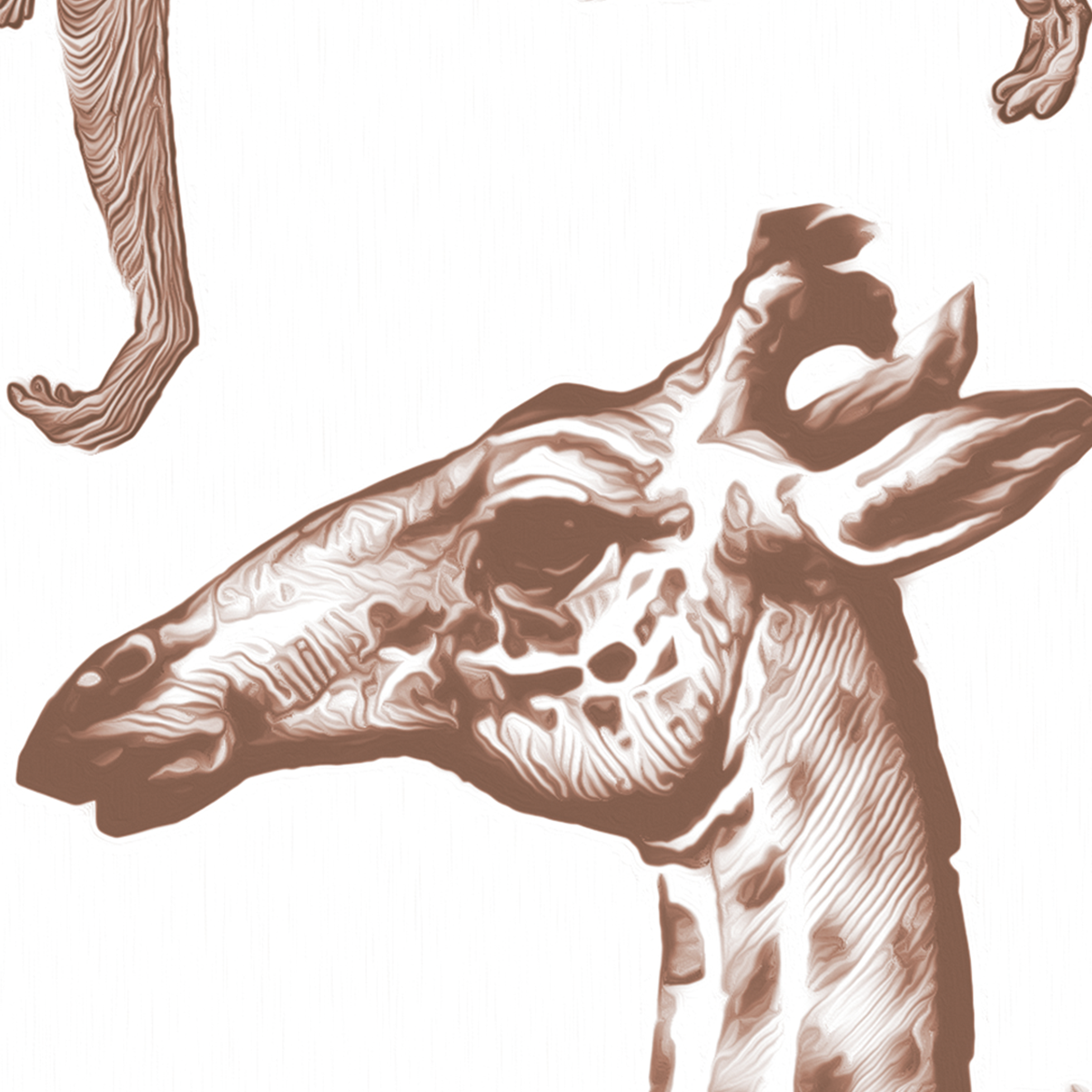 African Safari Engraving Mural Wallpaper - Giraffes and Monkeys Monochrome