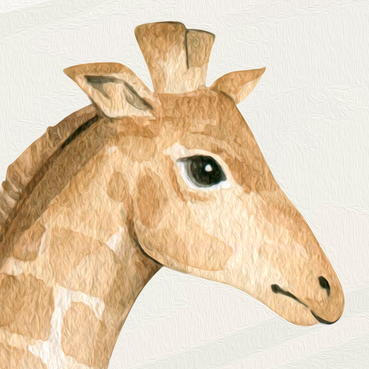 Safari Adventure Friends