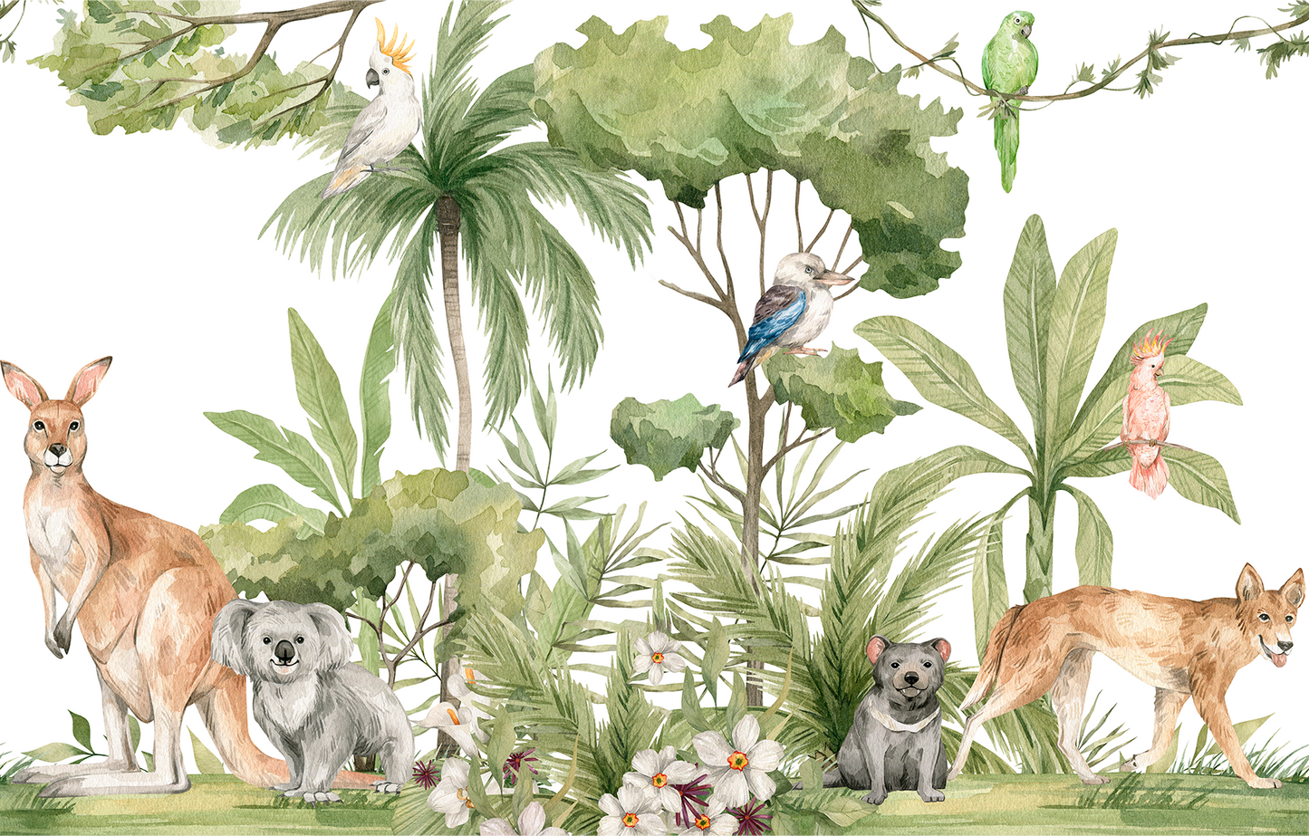 Australian Animals Koala and Kangaroo Mural Wallpaper - Kids Watercolor