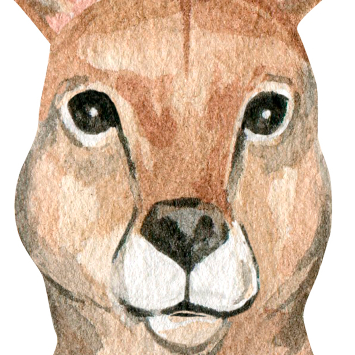 Australian Animals Koala and Kangaroo Mural Wallpaper - Kids Watercolor