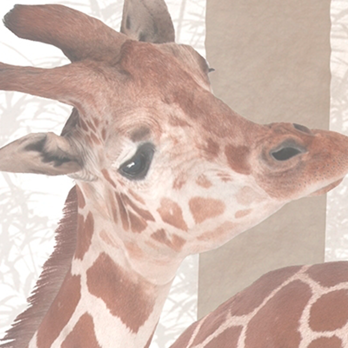 Kids Safari Mural Wallpaper Giraffes and Elephant - Vintage Sepia