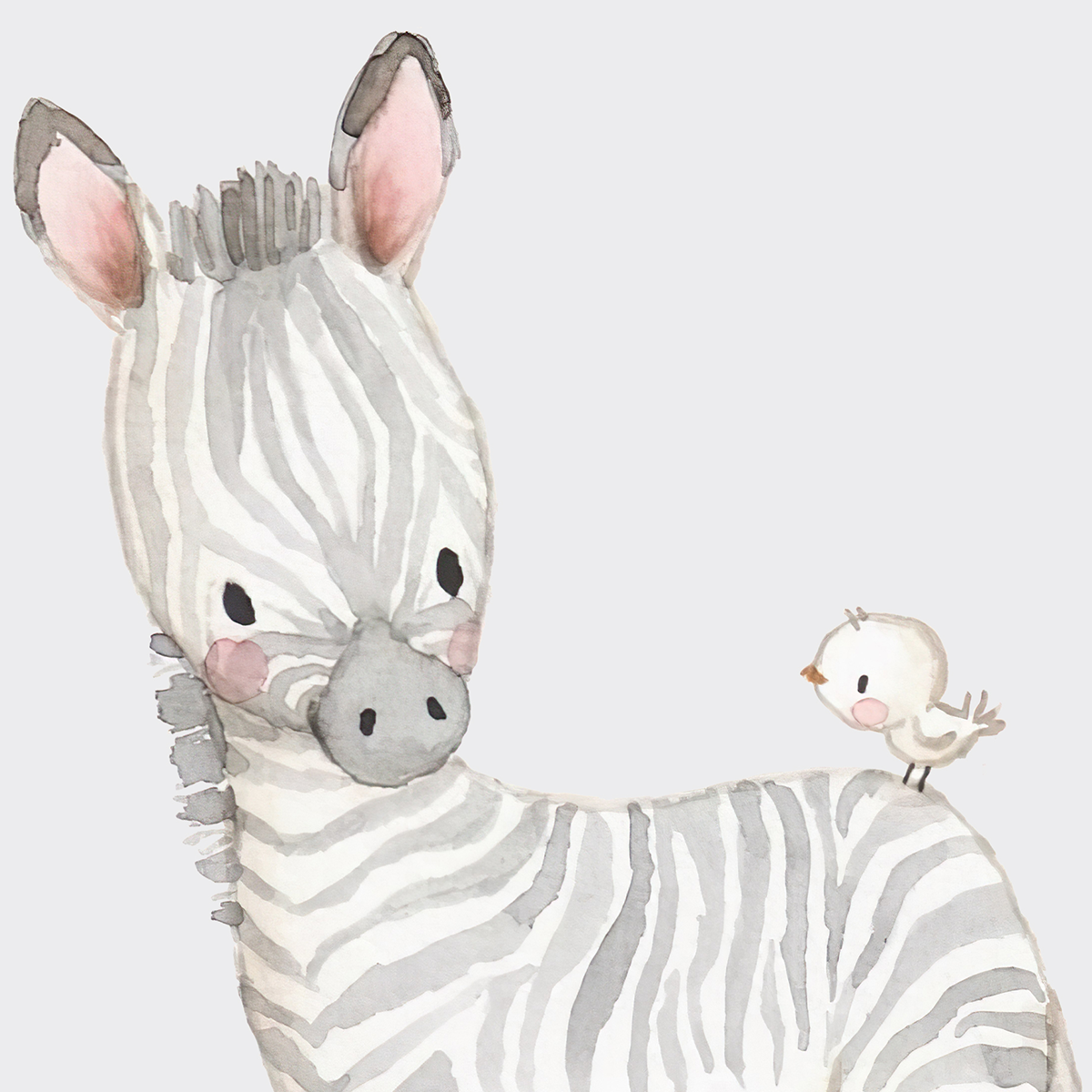 Safari Friends Adventure
