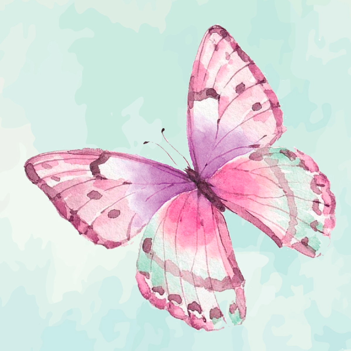 Moonlit Butterfly Garden