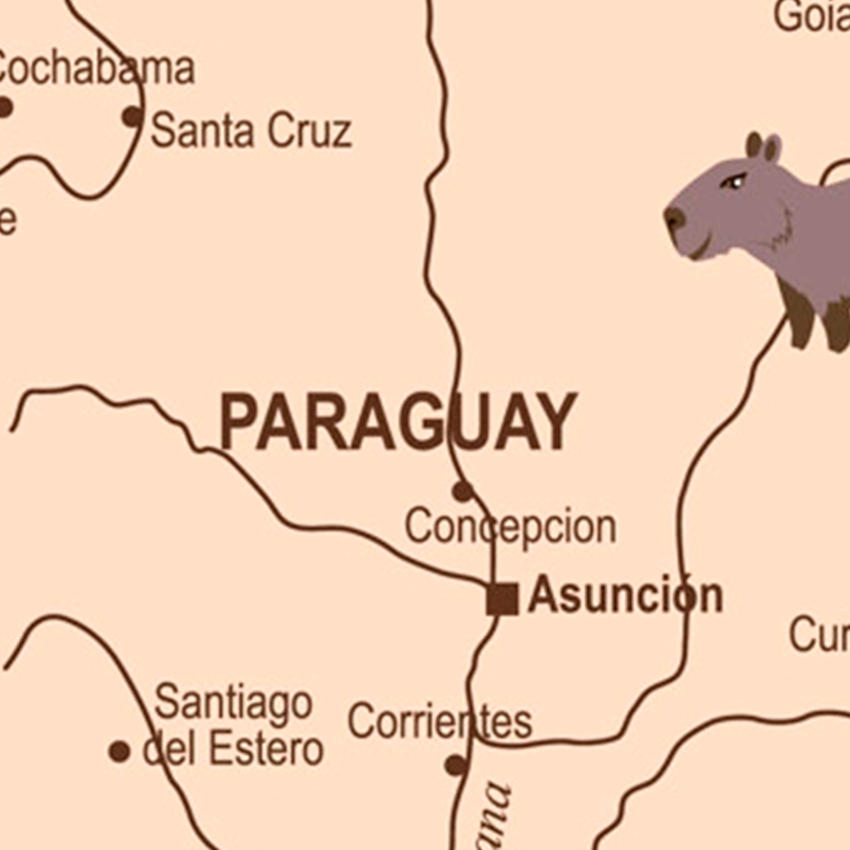 Vintage Adventure World Map Mural - Hot Air Balloons & Planes