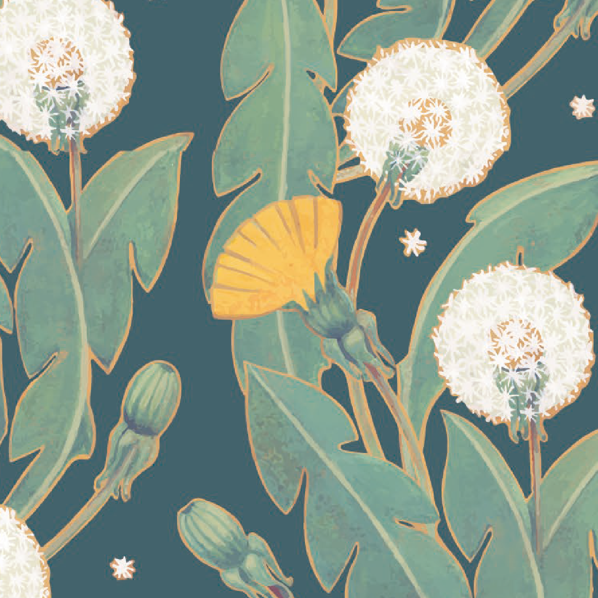 Midnight Dandelion Garden