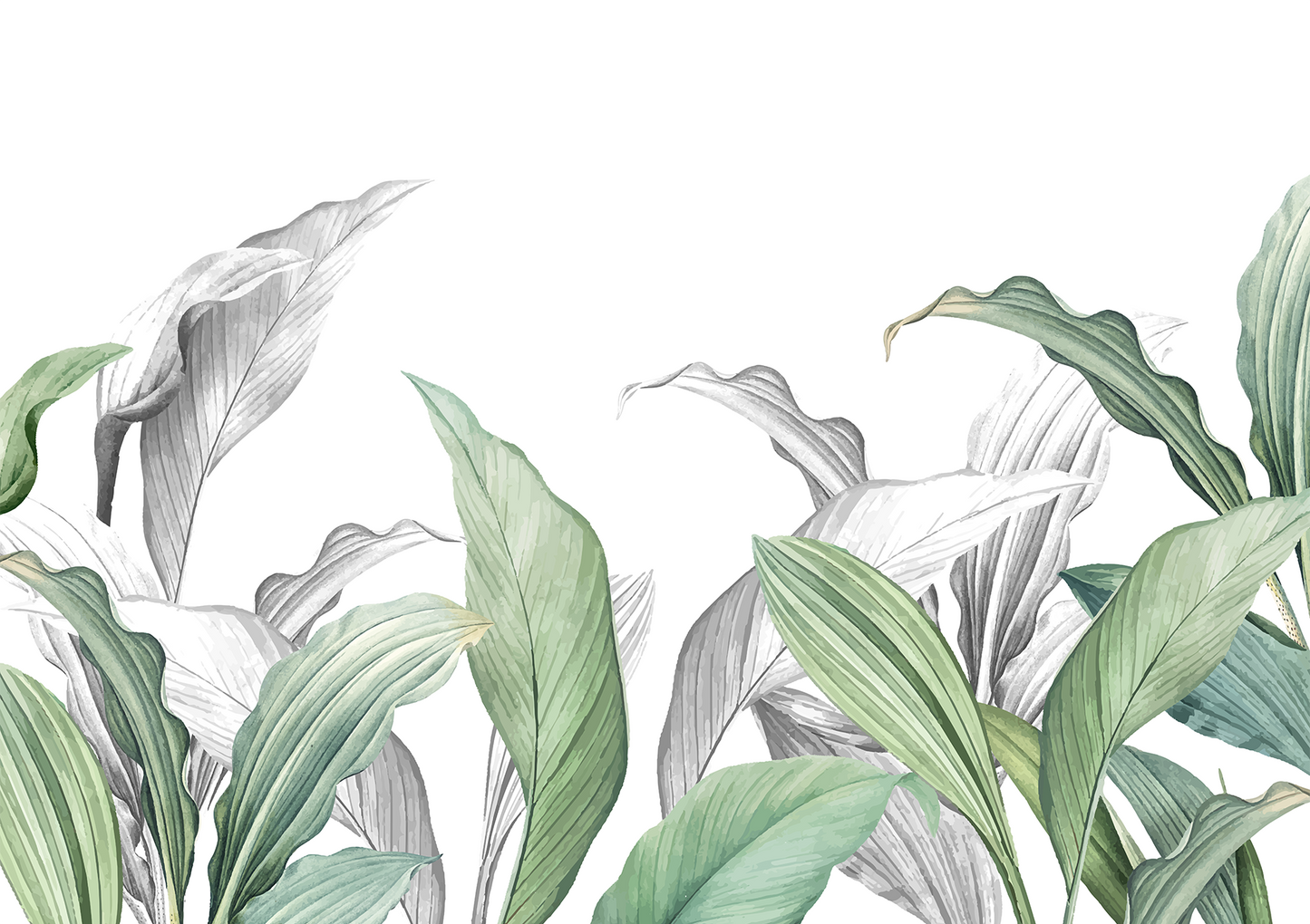 Modern Layered Tropical Leaf Border Mural
